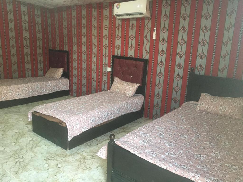 Oryx Camp Hotel Wadi Rum Exterior photo