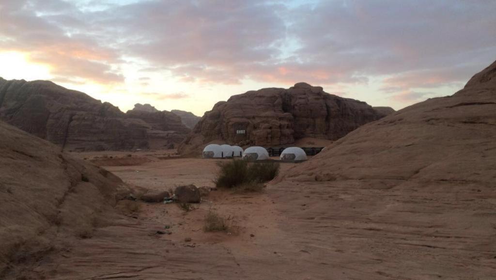 Oryx Camp Hotel Wadi Rum Exterior photo